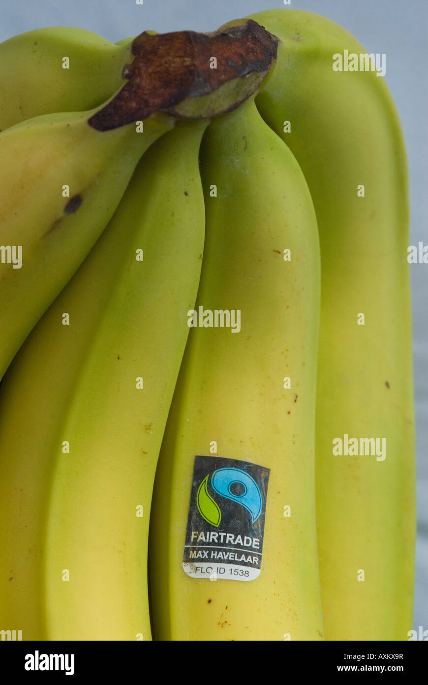 Fair Trade Bananas Stock Photo Alamy