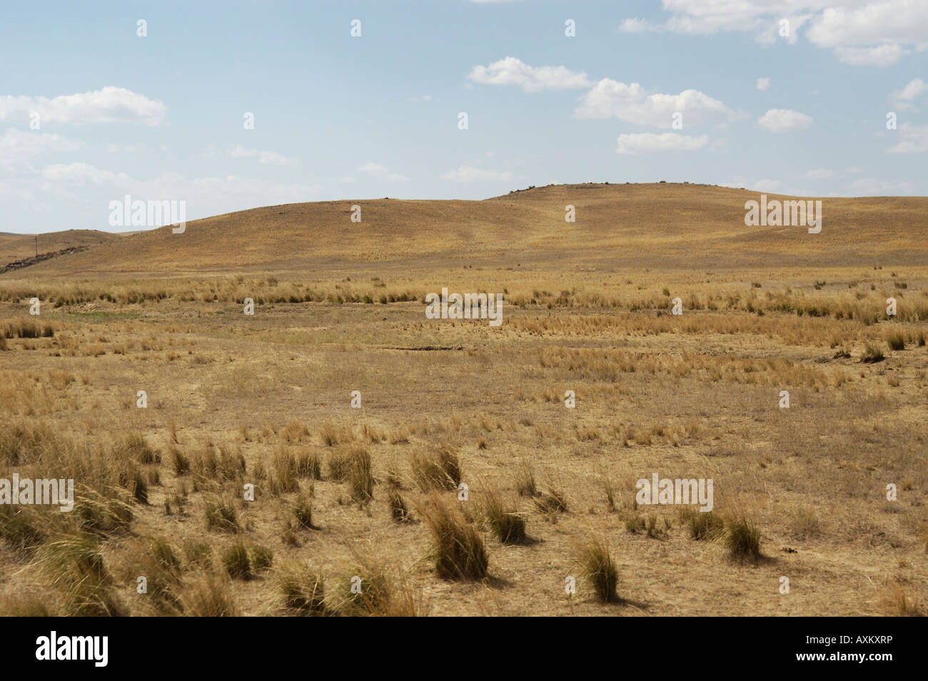 The steppes heading for Tamgaly, Kazakhstan Stock Photo