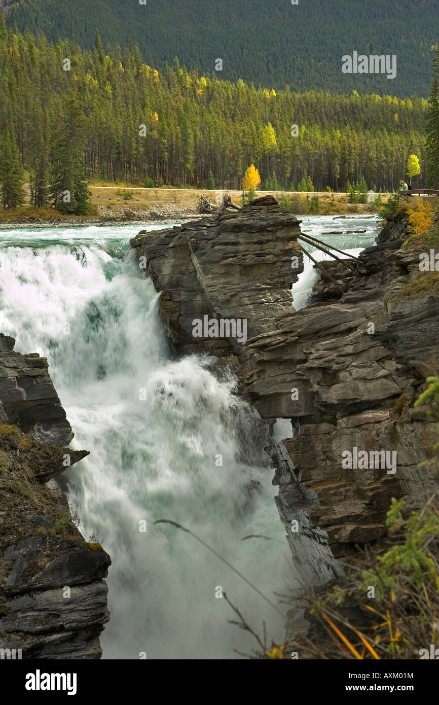 Falls Athabasca in a deep canyon in the north of Canada Stock Photo