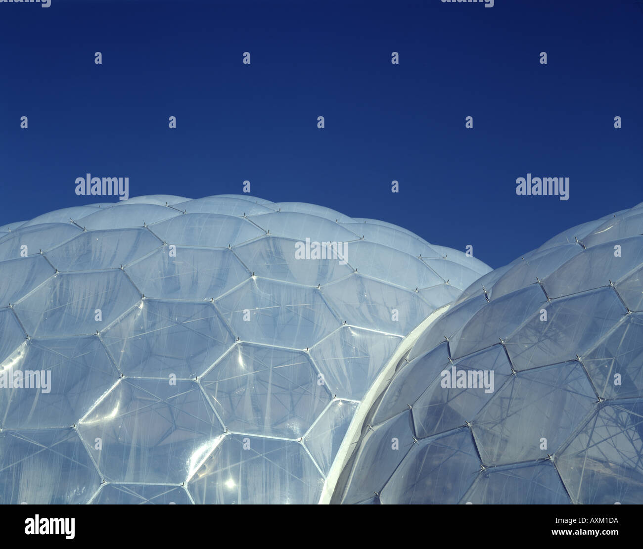 THE EDEN PROJECT Stock Photo