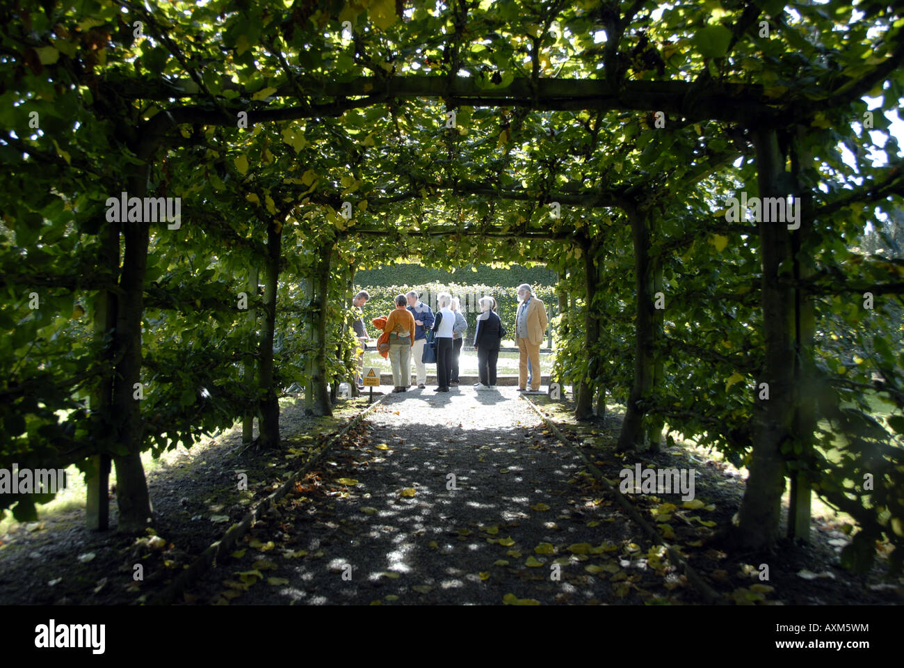 Arbor tunnel in Levens Hall and Gardens, Cumbria, England Stock Photo ...