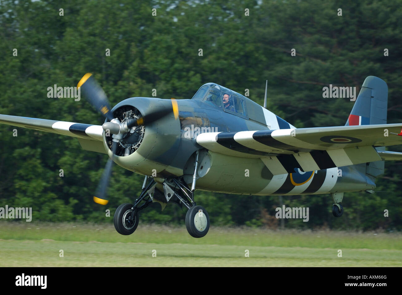 Grumman F4F Wildcat in landing during french vintage airshow at La Ferte Alais, France Stock Photo