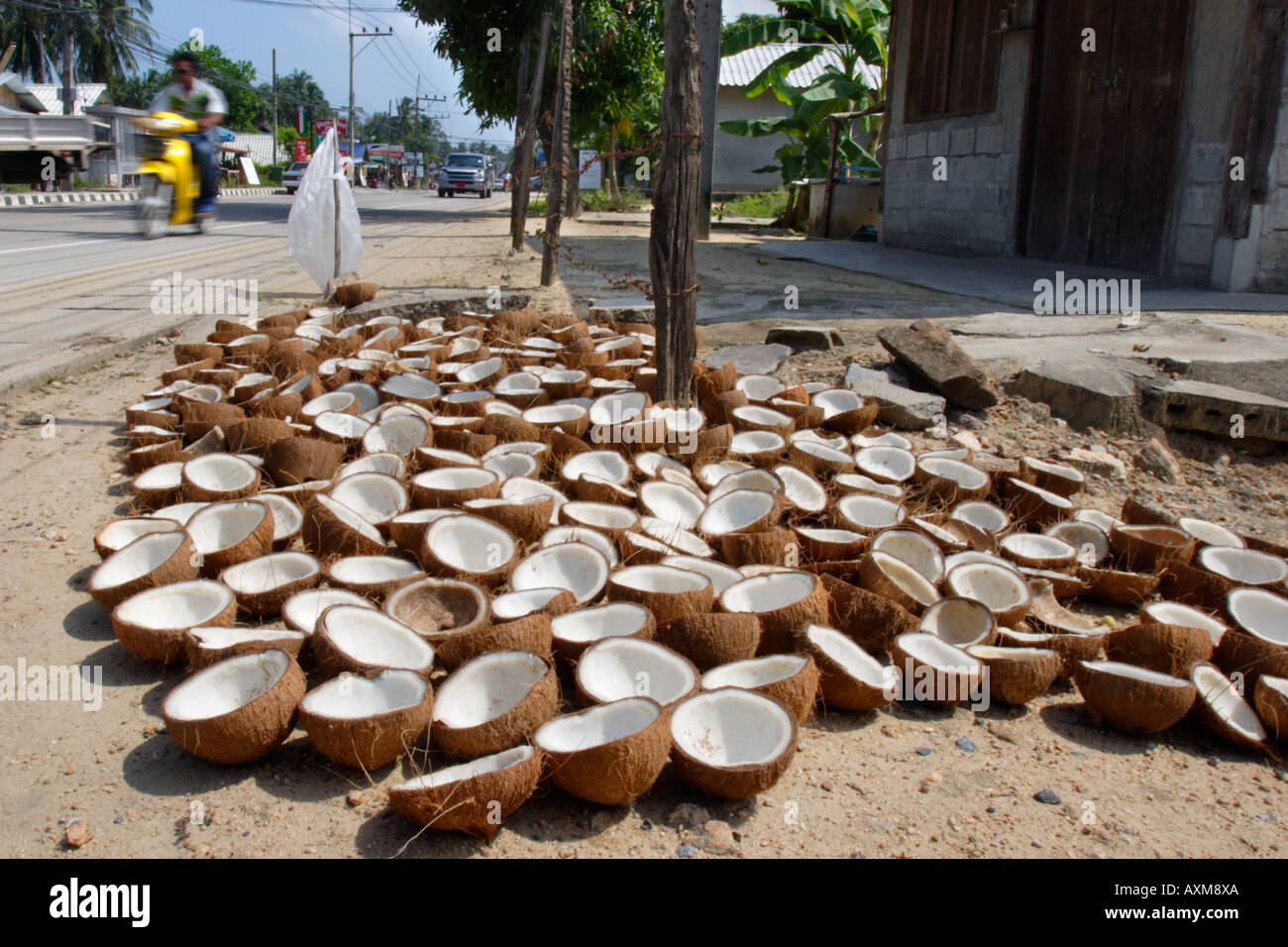 Copra drying, Ko Samui Thailand Stock Photo Alamy