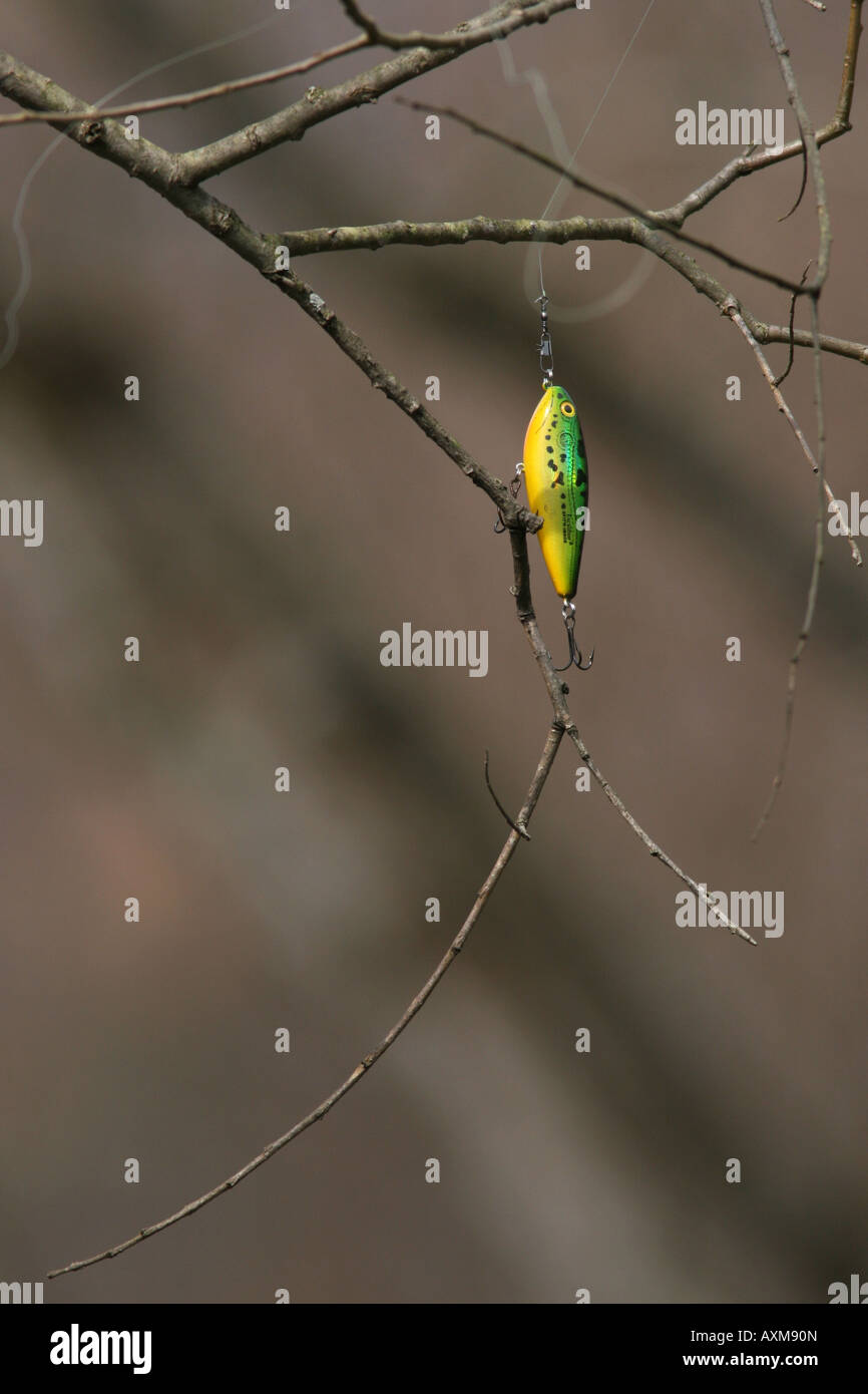 Fishing lure in tree Stock Photo - Alamy