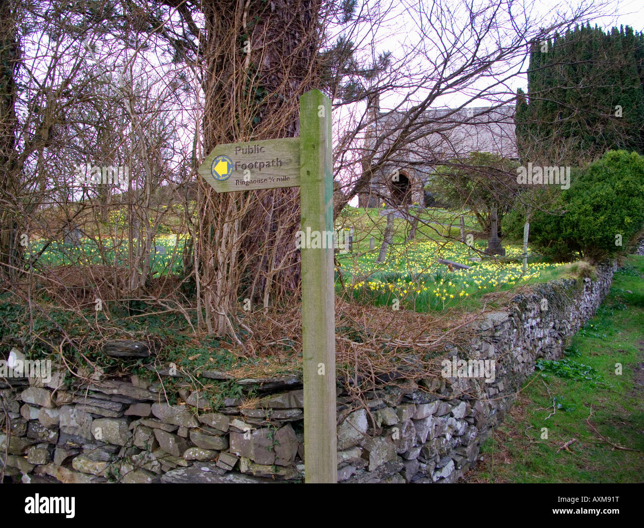 Walkers footpath right of way wooden sign Wordsworth Daffodils Woodland