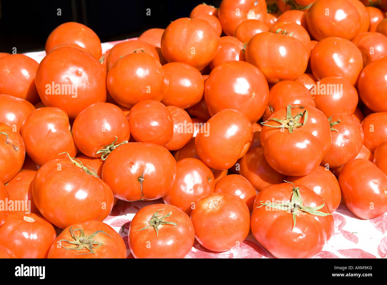 tomatoes for sale at the Santa Monica farmers market California Stock ...