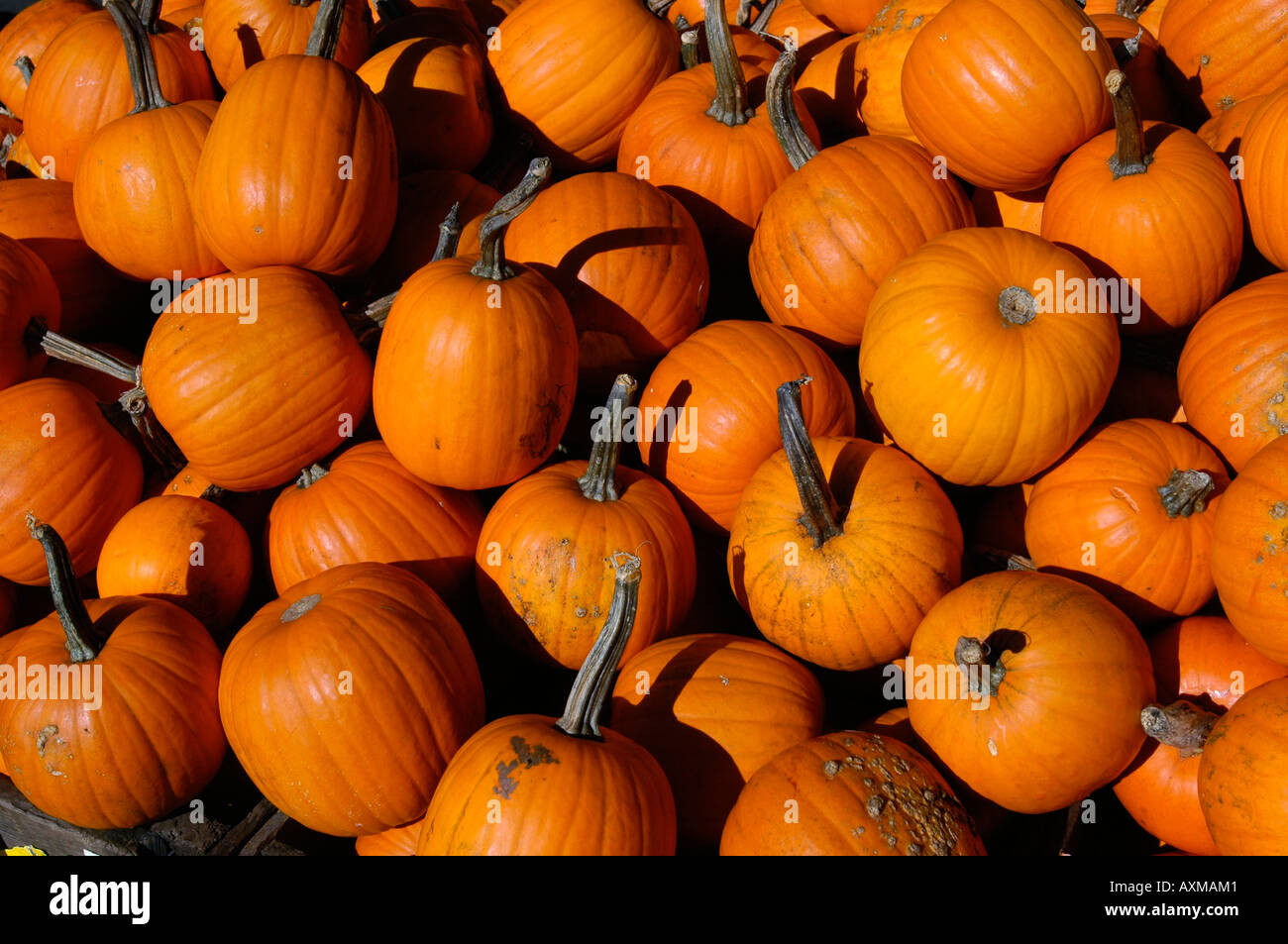 Halloween in union square hires stock photography and images Alamy