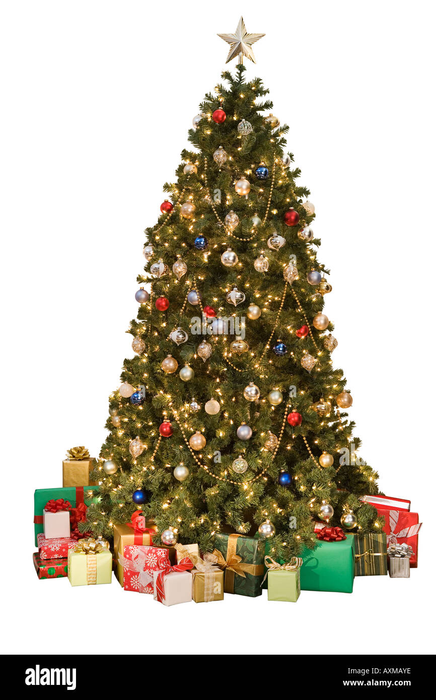 Studio shot of Christmas tree with gifts Stock Photo