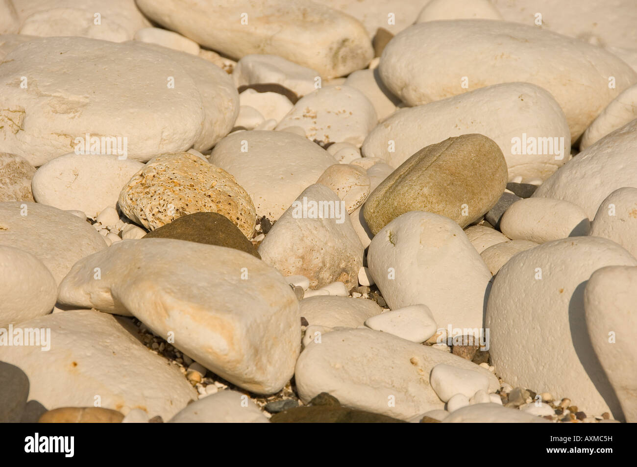 Chalk rocks rock stone stones pebble pebbles on the beach detail England UK United Kingdom GB Great Britain Stock Photo