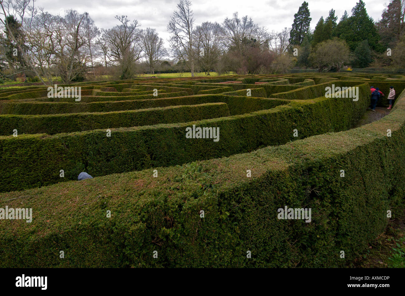 Maze at Madresfield Court near Malvern in Worcestershire England Stock Photo