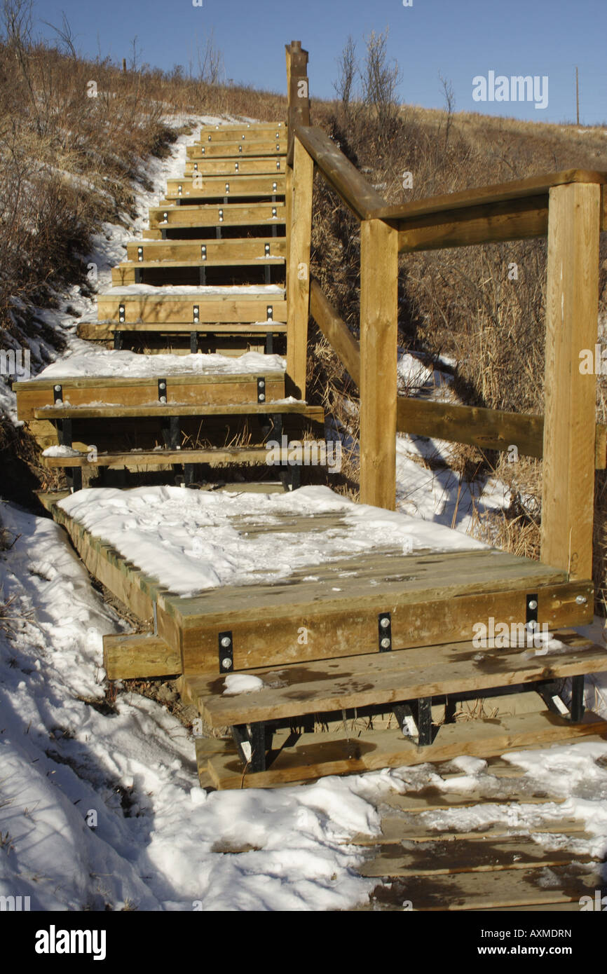 Wooden stairs to the Bow river, Calgary, Alberta Stock Photo