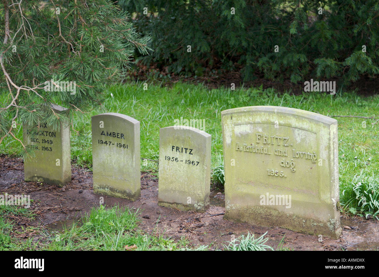 Pet cemetery at Madresfield Court Worcestershire Stock Photo