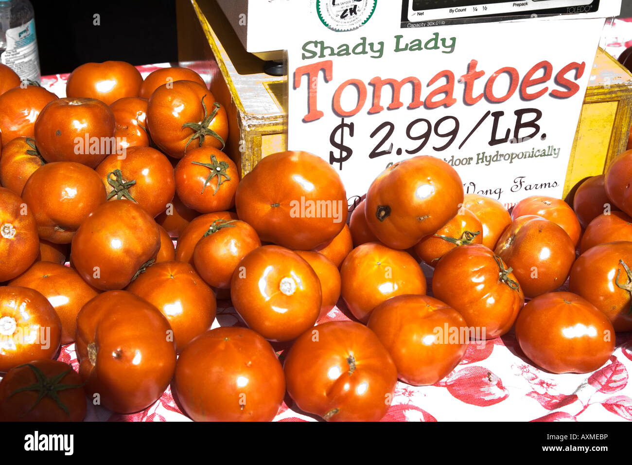 Tomatoes for sale at the Santa Monica farmers market California Stock ...