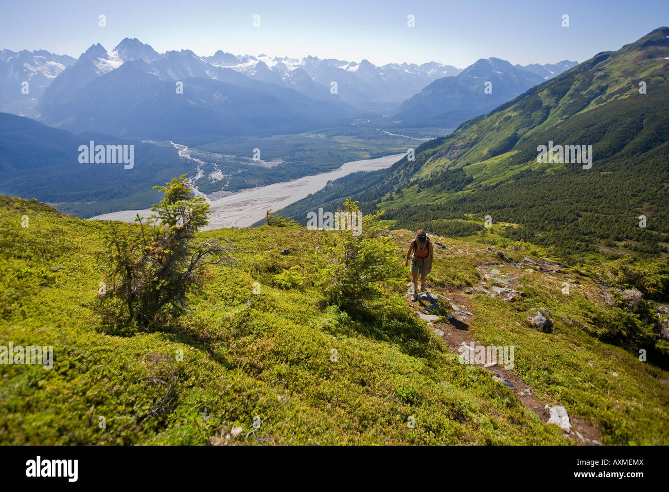 Ripinsky hi-res stock photography and images - Alamy