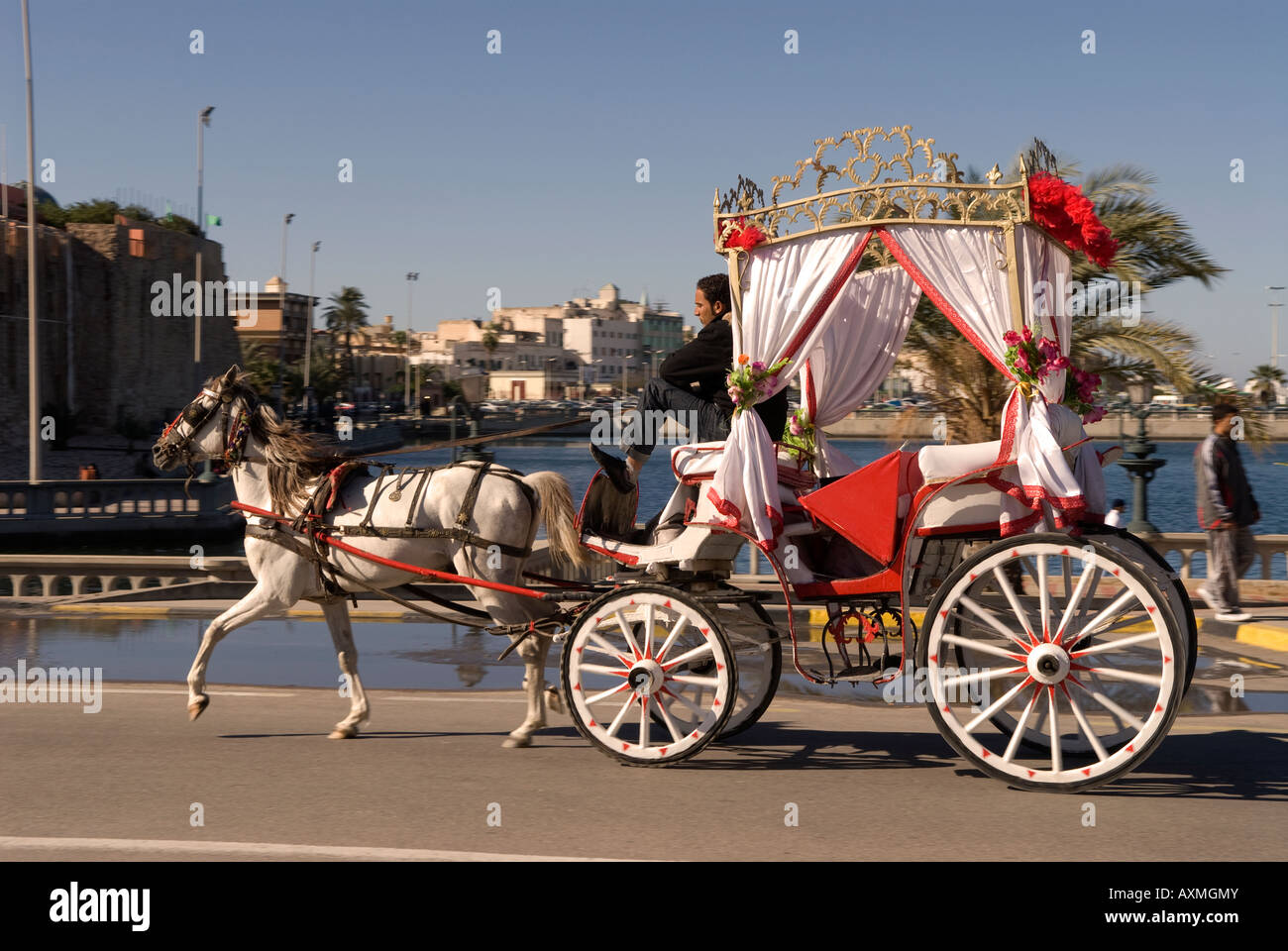 Ornately decorated horse drawn carriage near Green Square Tripoli Libya