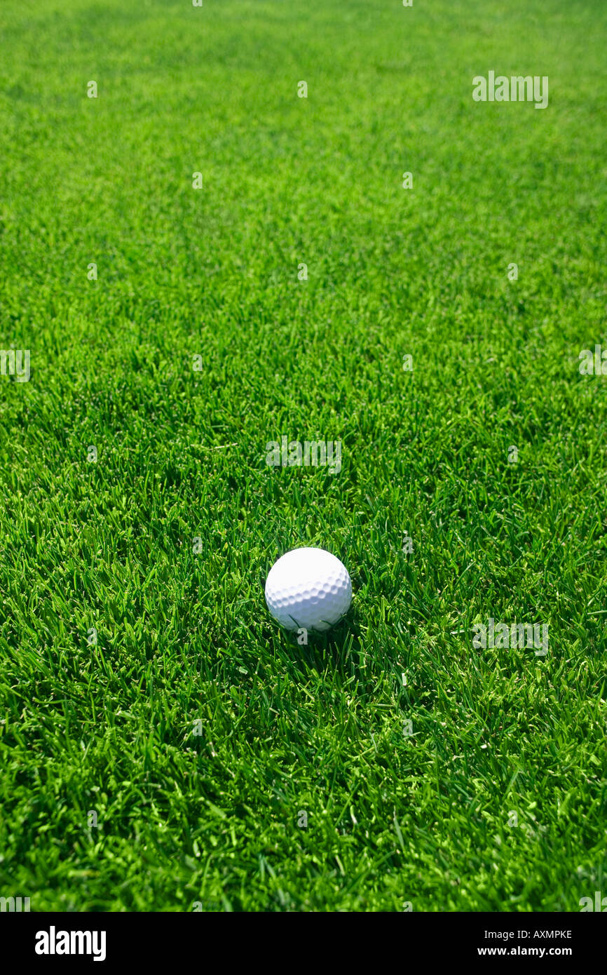 Golf ball on green grass outdoors Stock Photo Alamy