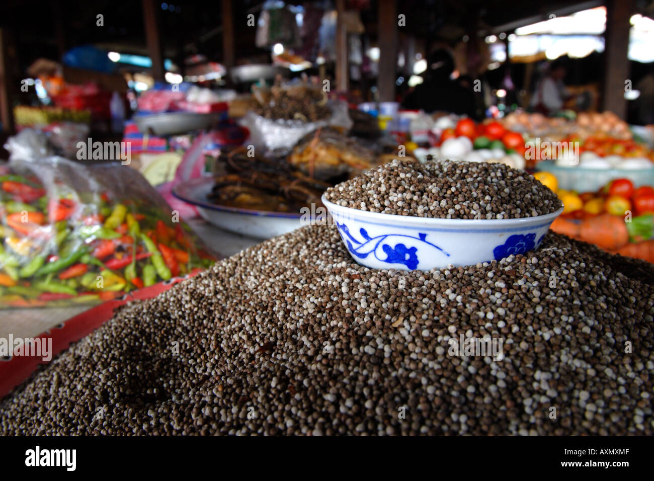 Peppercorn, Laos Stock Photo