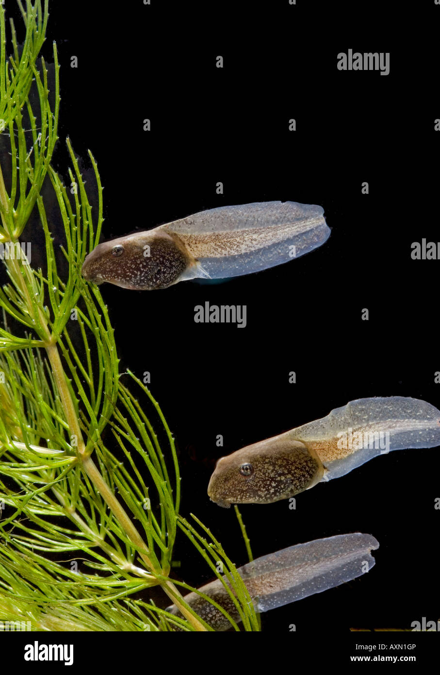 10 6 hi-res stock photography and images - Alamy