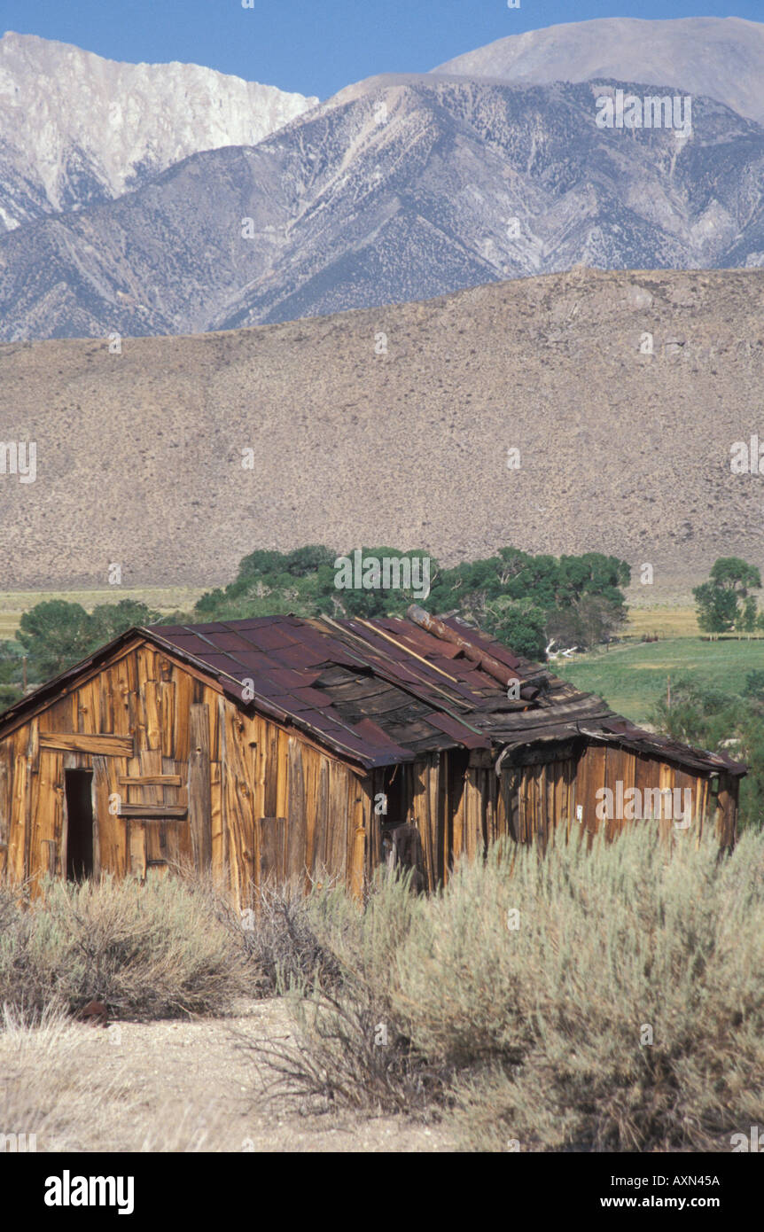 An old weathered wooden homestead in the eastern Sierras near Benton Springs California Stock Photo