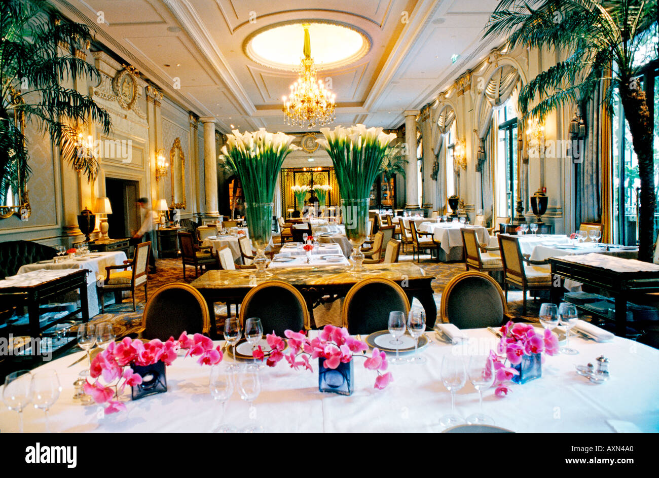 Paris France, palace French Restaurant "Le V" "Le Cinq" Haute Cuisine in  Hotel "Four Seasons George V" european interior, sophisticated hotels Stock  Photo - Alamy