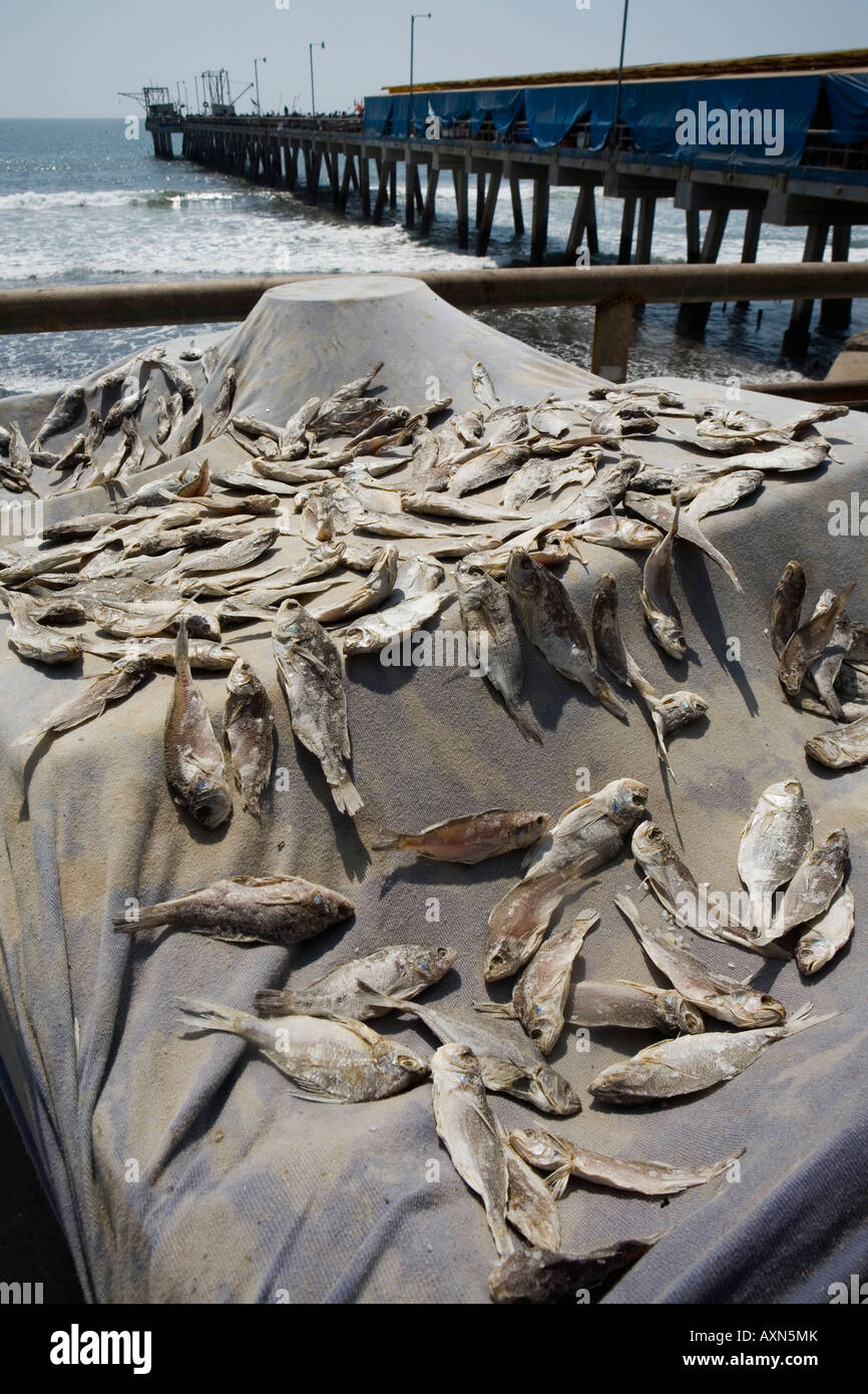 Drying fish by pier in fishing village of La Libertad on Pacific coast of El Salvador Stock Photo