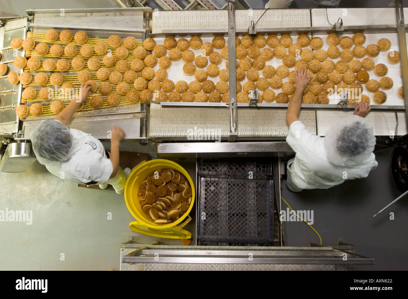 Commercial bakery with hamburger buns on assembly line Baltimore MD
