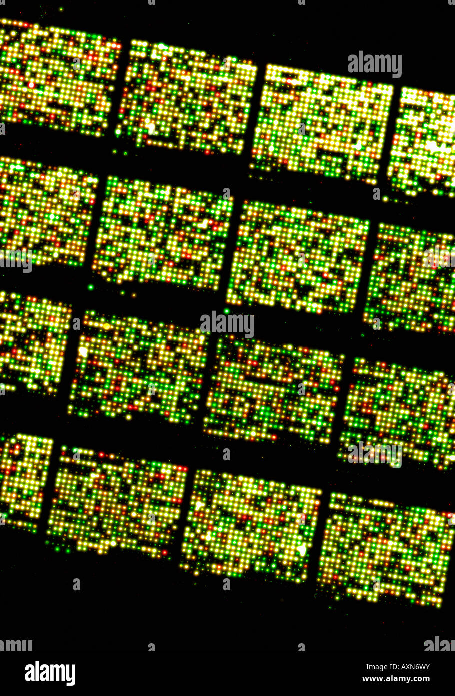 Micro Array DNA Chip, human genome structure Stock Photo