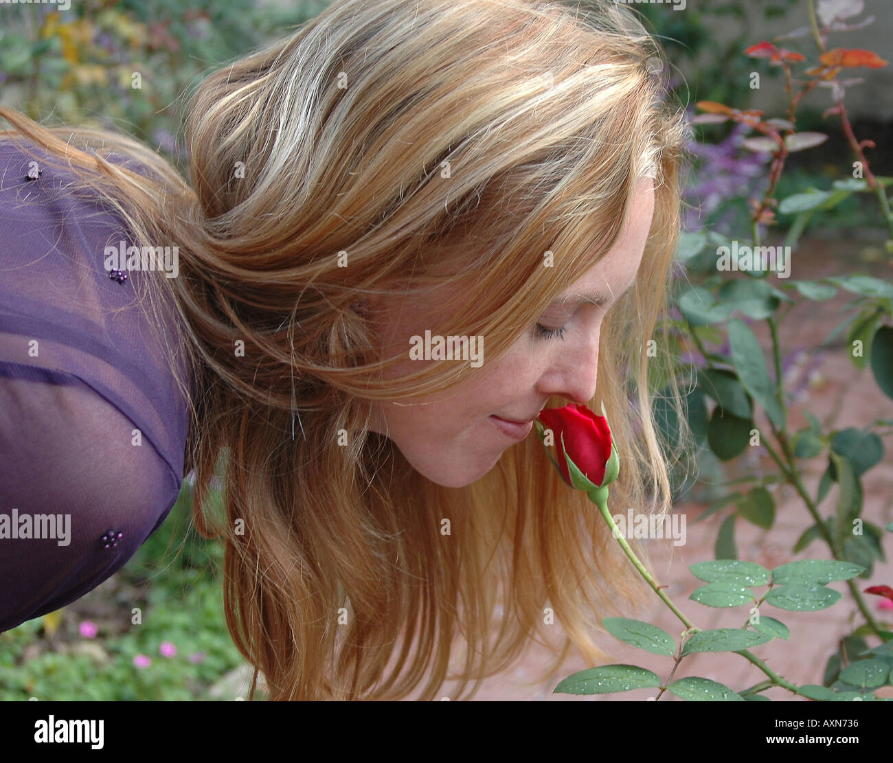 Woman smelling rose Stock Photo Alamy