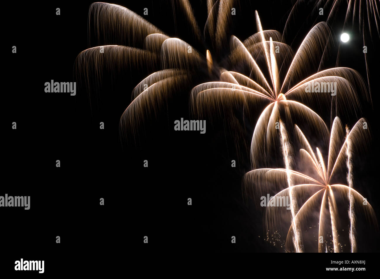 Fireworks exploding like palm trees with the moon in the background