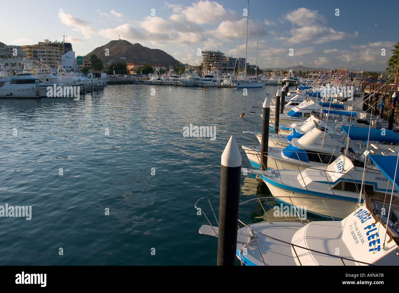 Cabo San Lucas Marina Late Afternoon Baja California Mexico Stock Photo