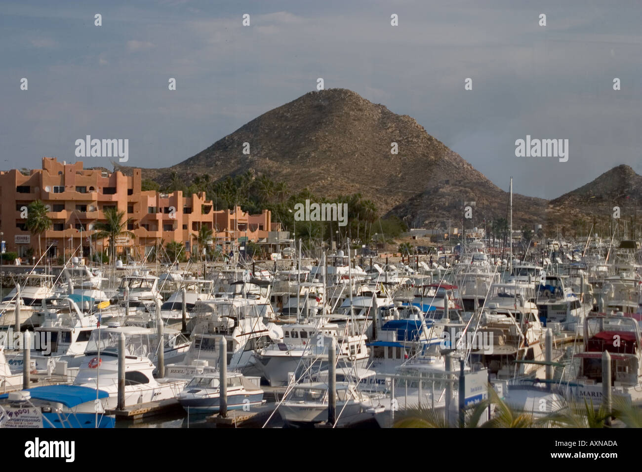 Cabo San Lucas Marina Baja California Mexico Stock Photo - Alamy