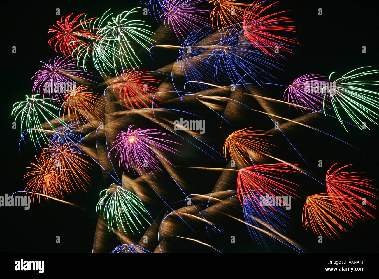 Firework exploding at a display during the Obon festival in Japan Stock Photo