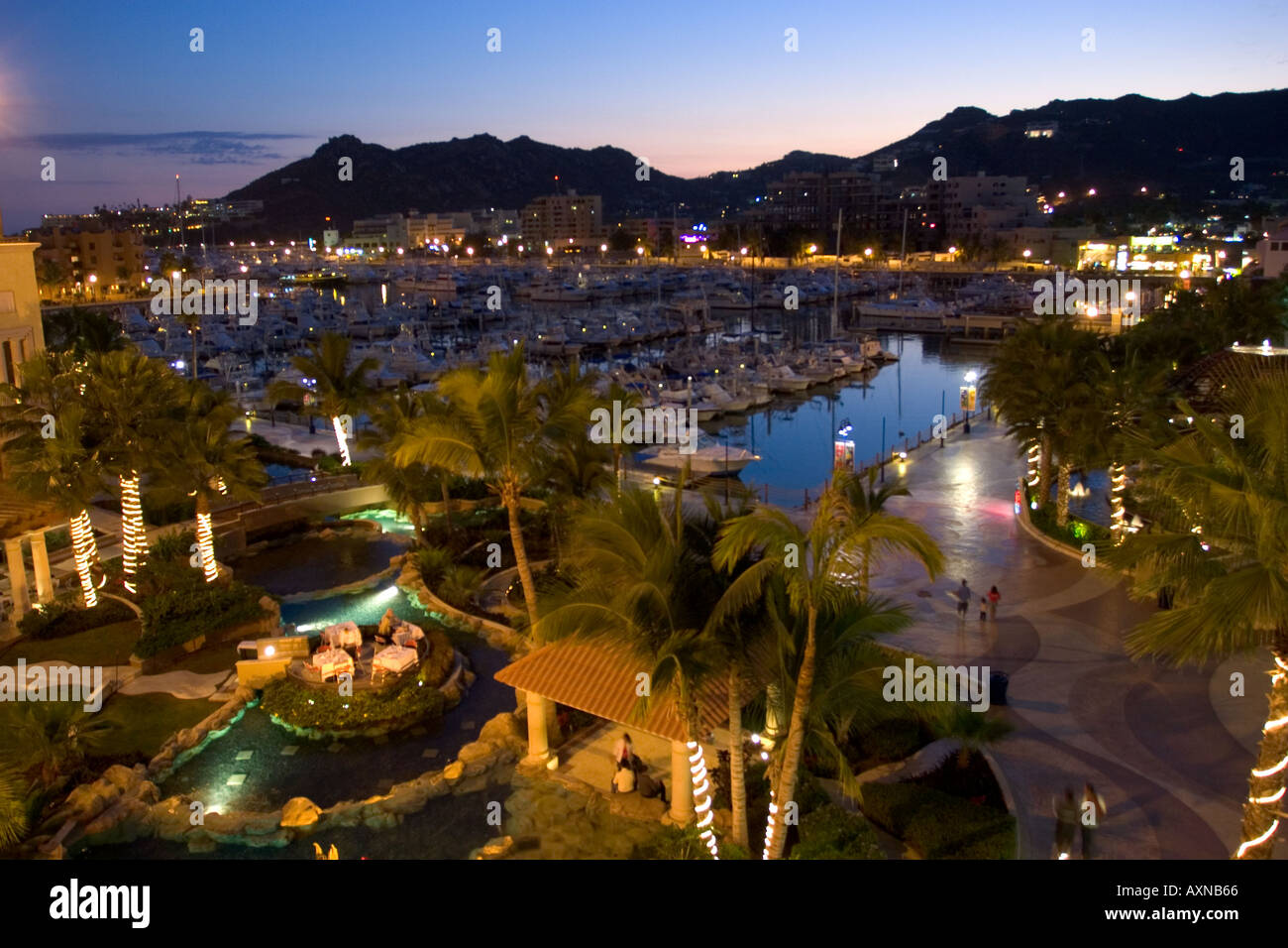 Cabo San Lucas Marina at Night Baja California Mexico Stock Photo - Alamy