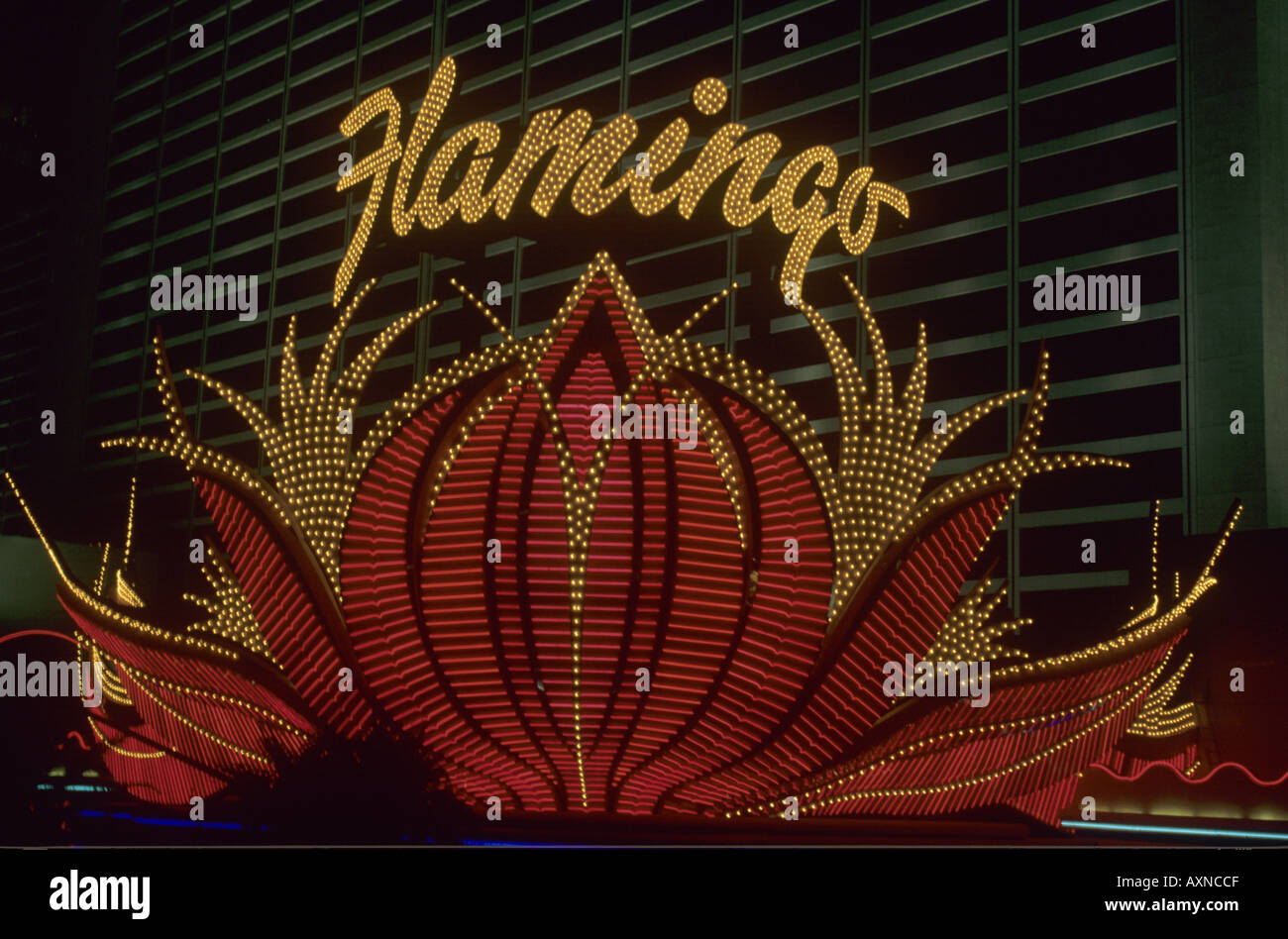 Pink Flamingo Casino and Hotel Neon Sign Stock Photo