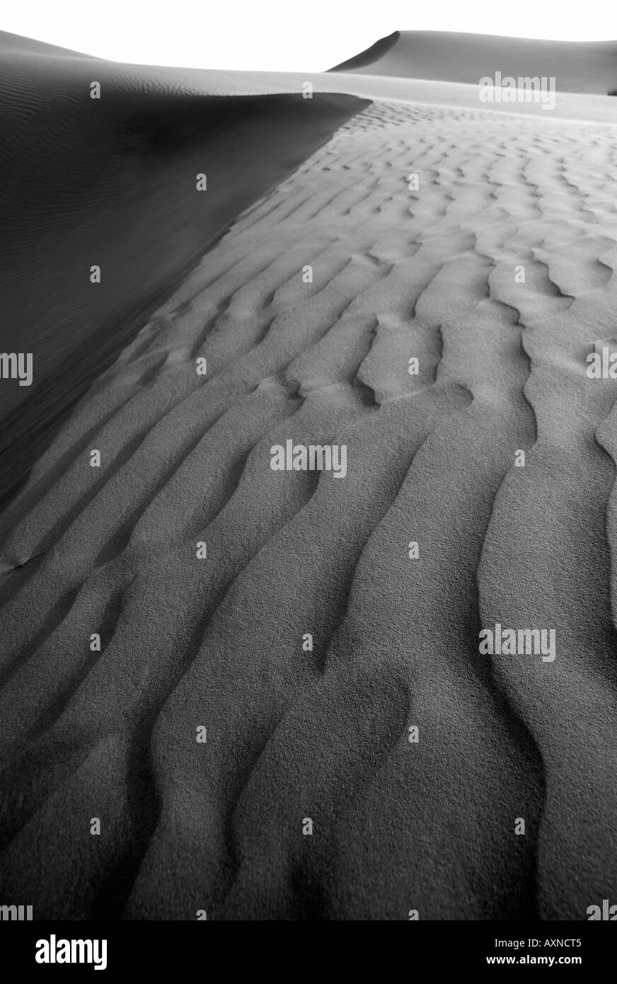Ron Hayes Dubai Desert Sand Dunes Monotone Stock Photo Alamy