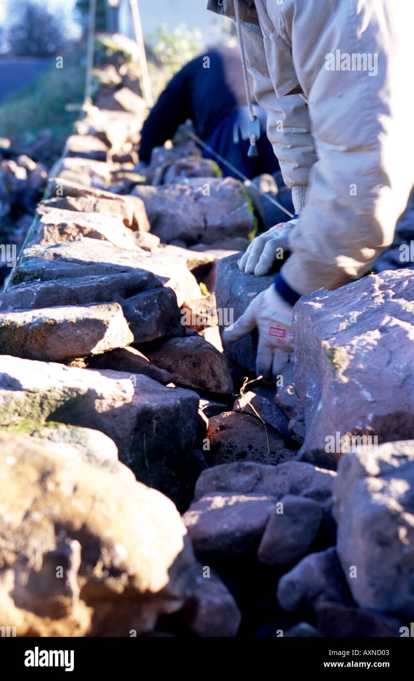 Dry stone dyking in Northumberland Stock Photo - Alamy
