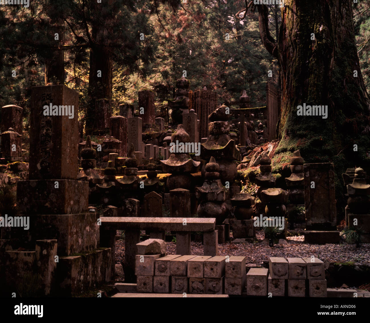 Ancient Mt Koya graveyard in Wakayama Japan Stock Photo
