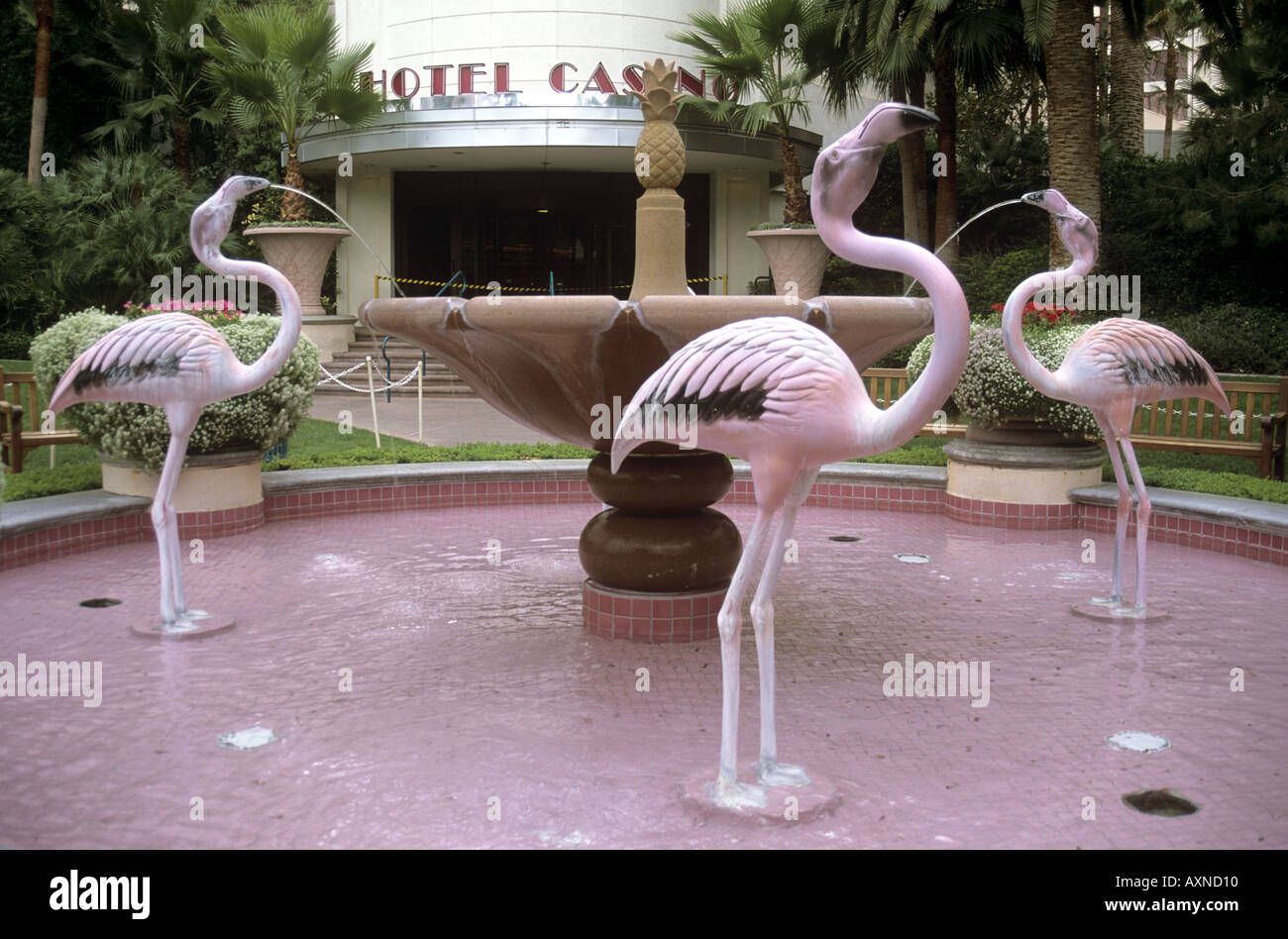 Pink Flamingos at the Pink Flamingo Casino Vegas Stock Photo