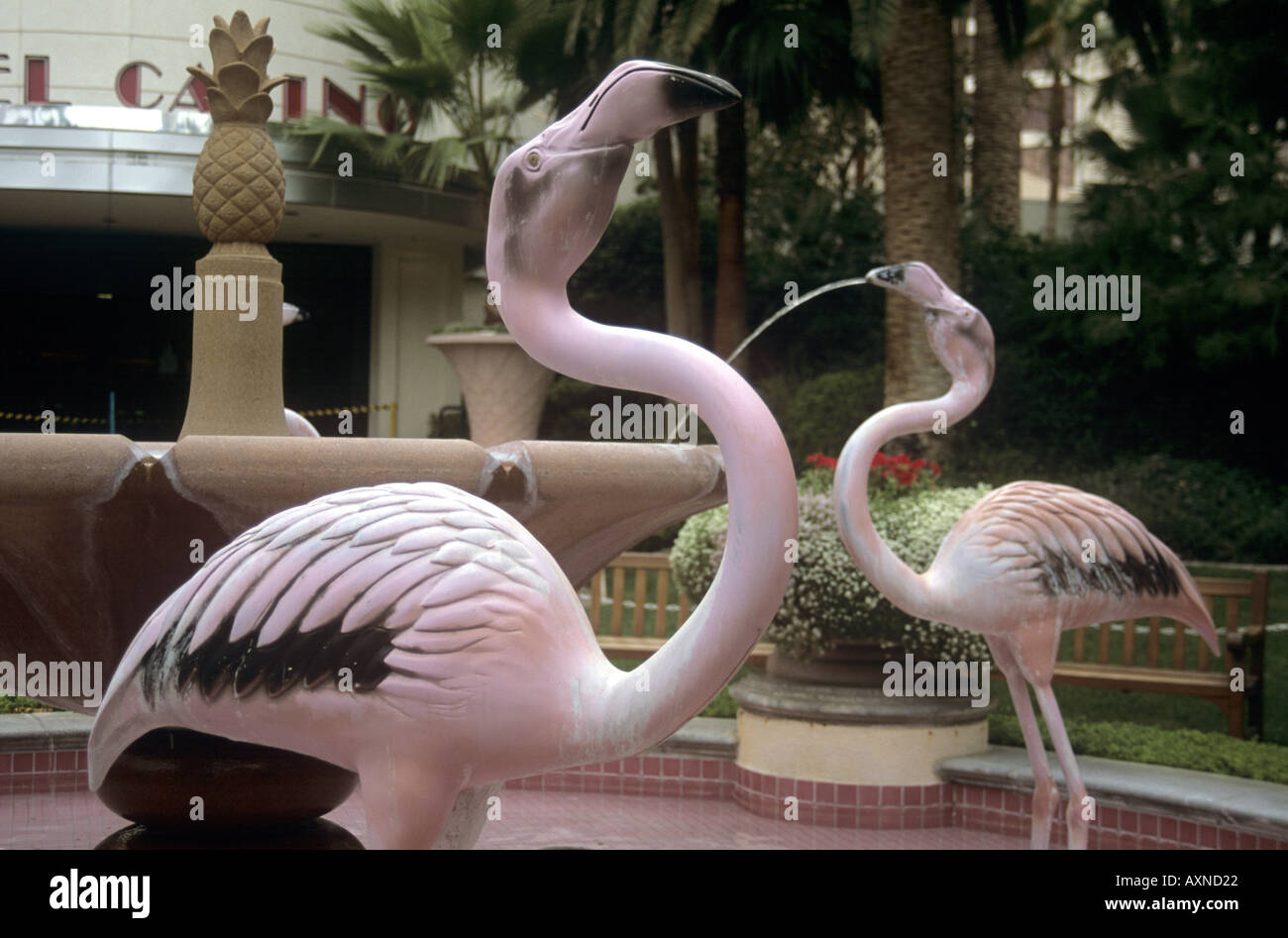 Pink Flamingos at the Pink Flamingo Casino Vegas Stock Photo