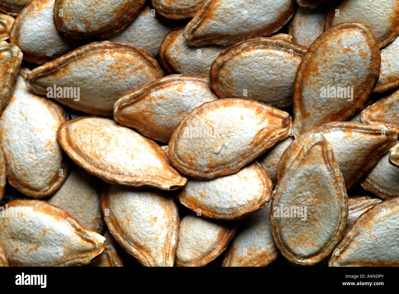 Butternut squash seeds Stock Photo Alamy