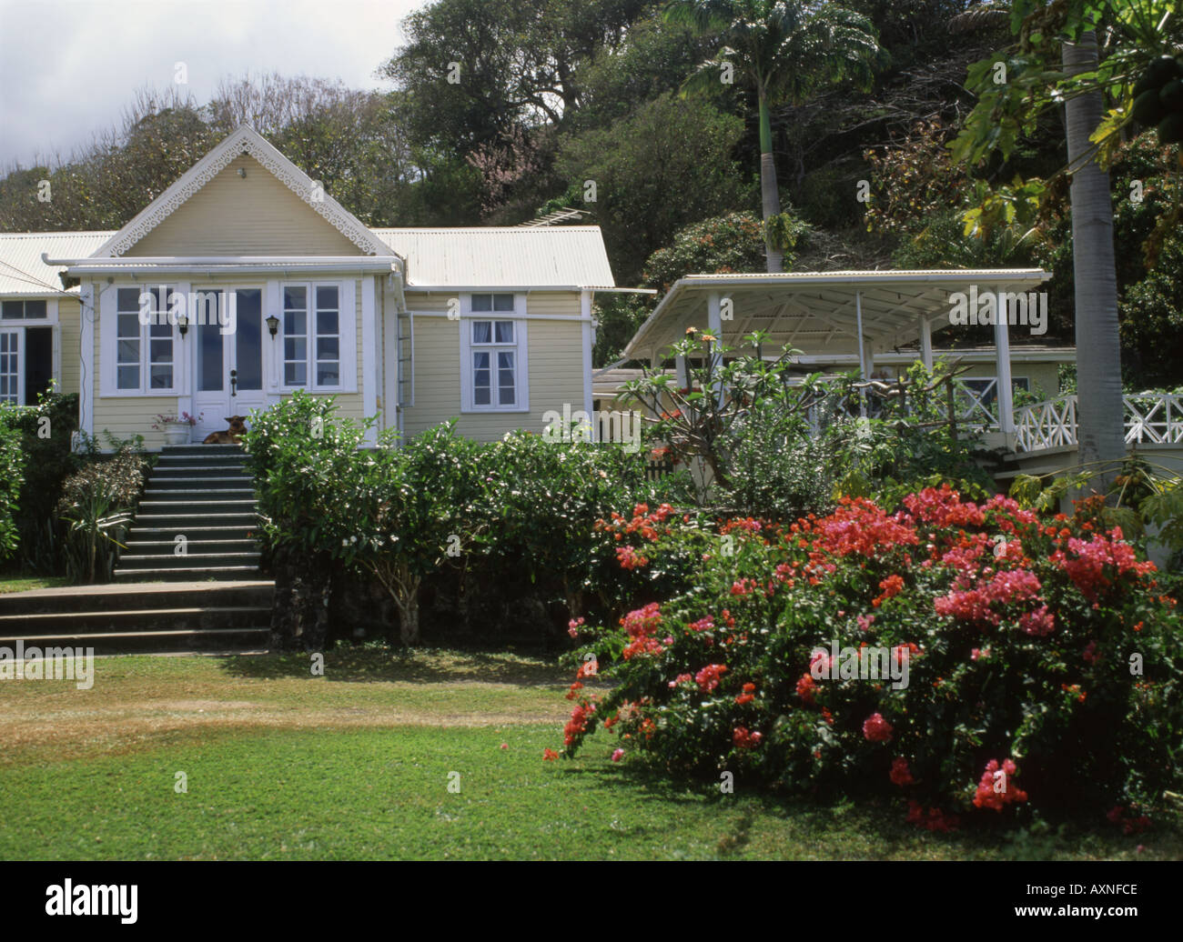 Grenada Mount Rodney estate Stock Photo