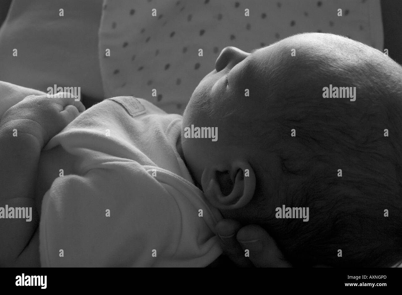 Newborn Baby Face Black and White Sillouette Stock Photo
