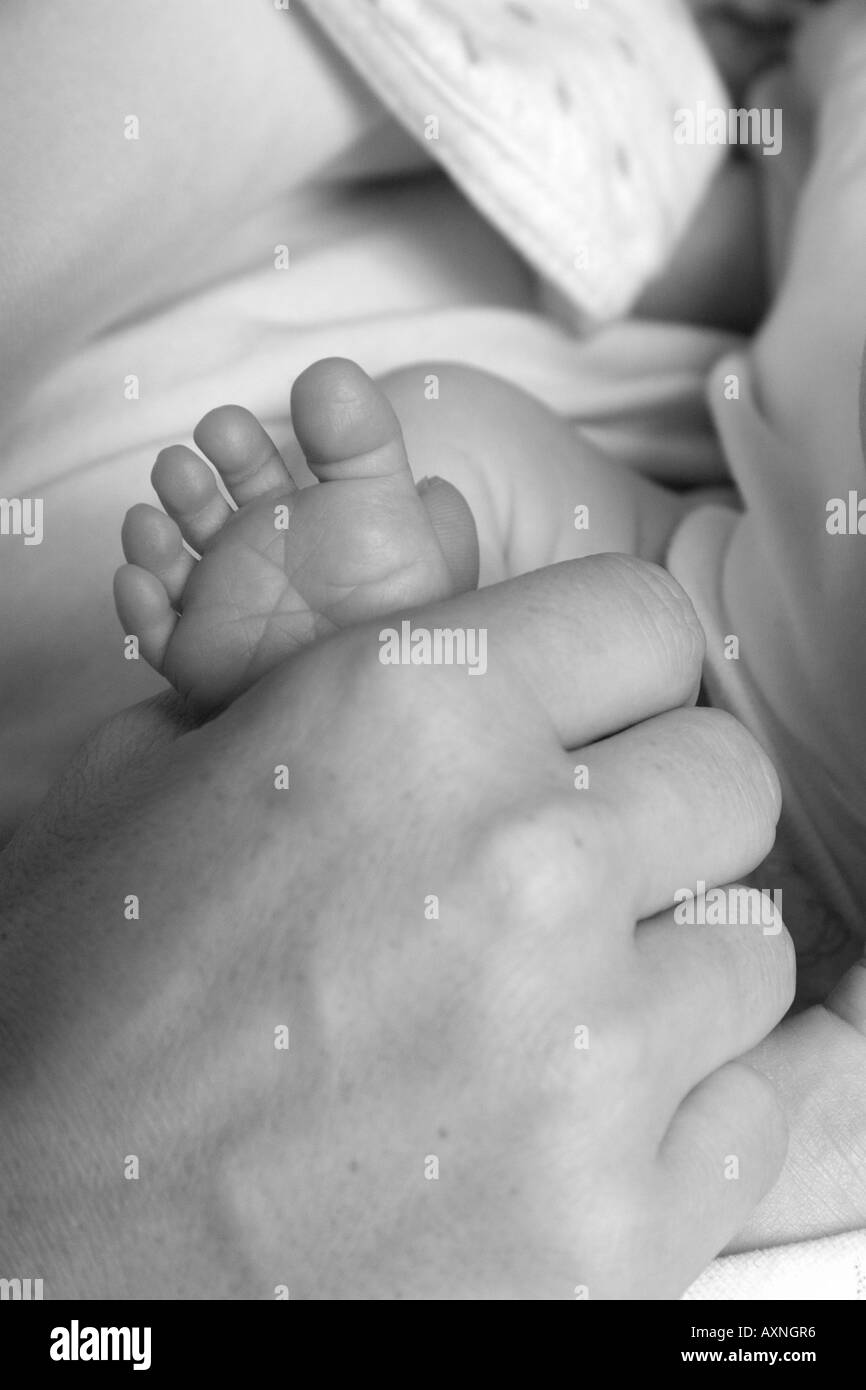 Mother Holding Baby s Foot Black and White Stock Photo