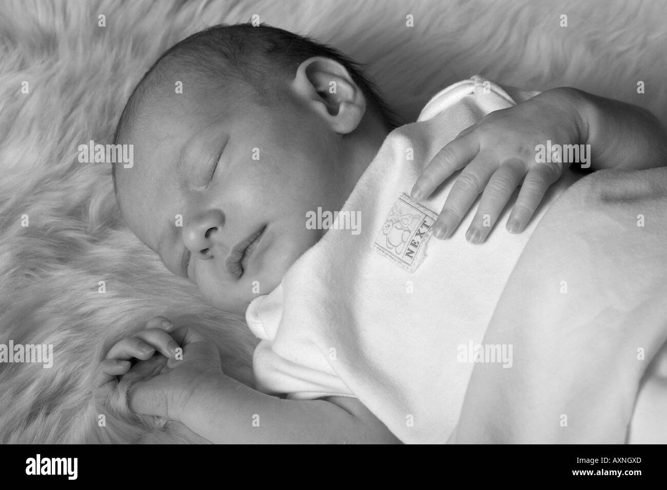 Quiet Newborn Baby Resting Black and White Stock Photo Alamy