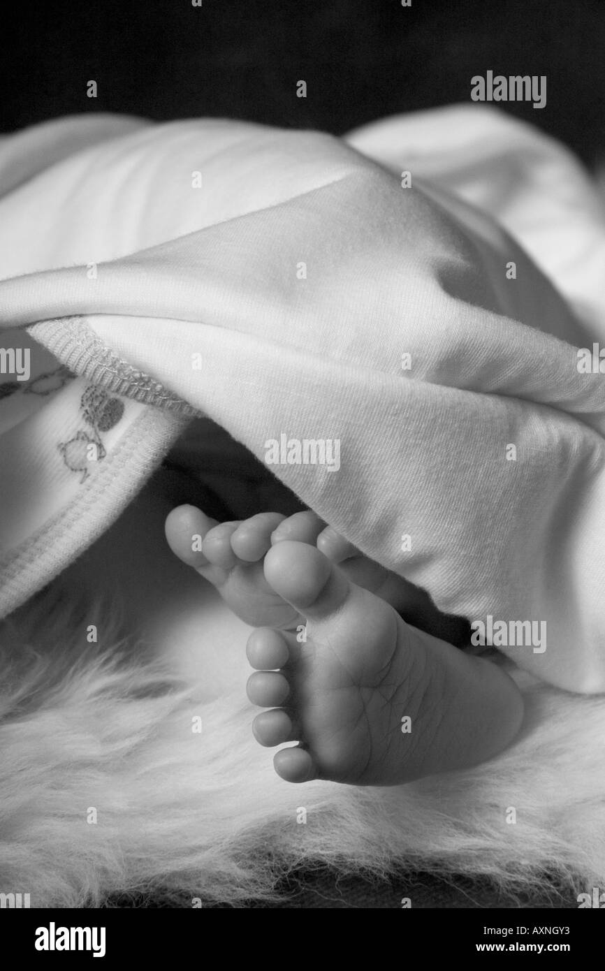 Baby Feet on White stock photo. Image of small, foot - 12607588