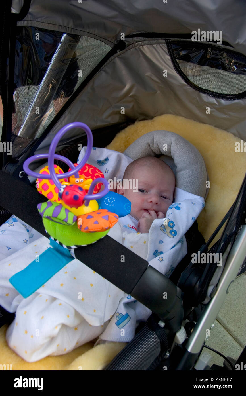 newborn baby in stroller