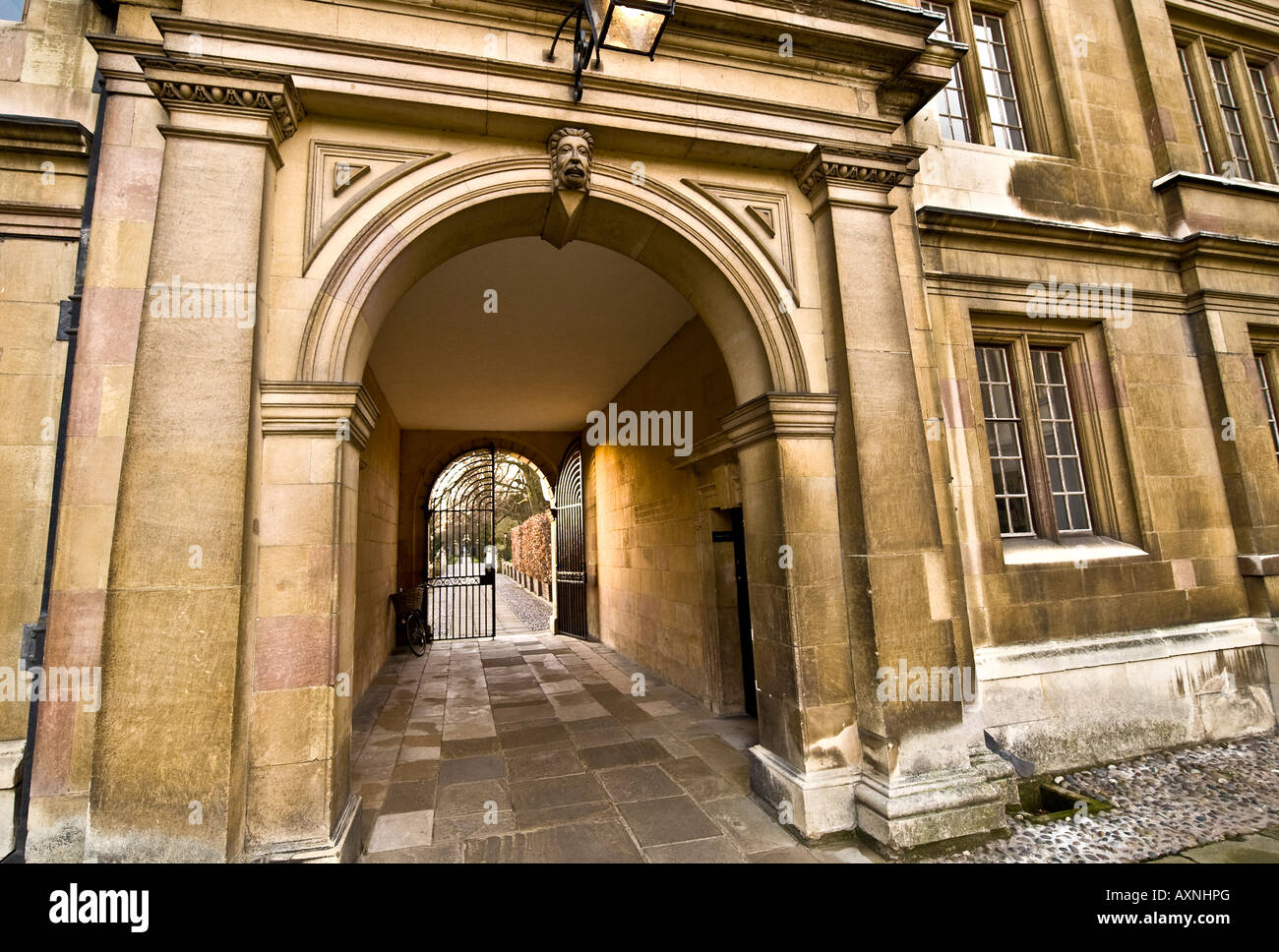 cambridge college architecture building university pillars door windows stone historic old listed buildings wall background text Stock Photo