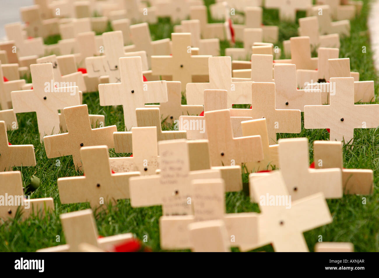 A memorial of wooden crosses and red poppies commemorating the end of World War I on Remembrance Day Stock Photo