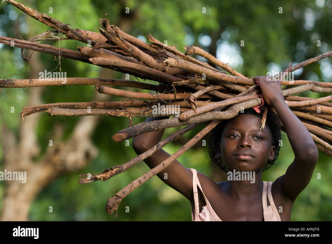 A girl carries firewood on her head, Ghana, Africa Stock Photo - Alamy