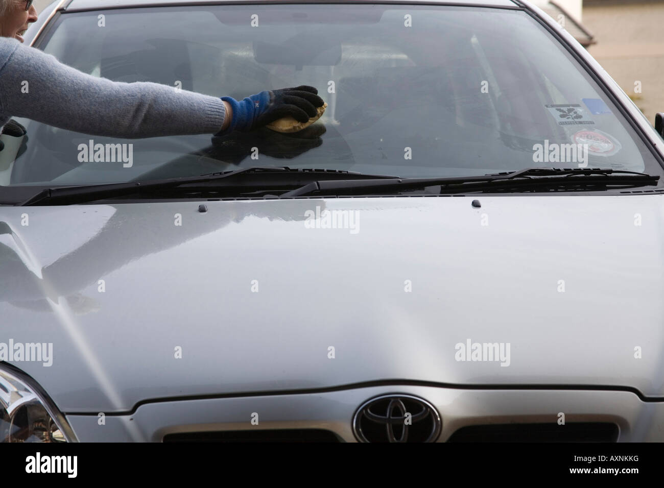 NORTH WALES A female senior citizen using a chamois leather to clean